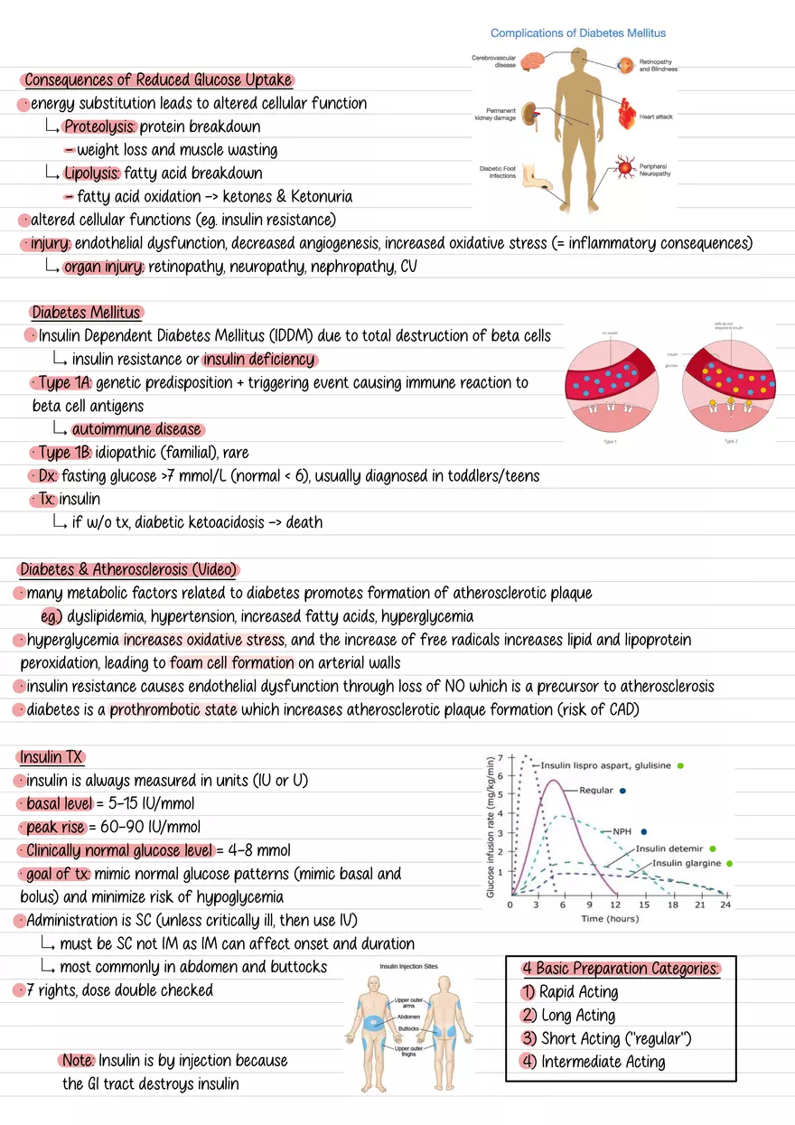 Lecture 10: Glucose Regulation and Diabetes - Page 3