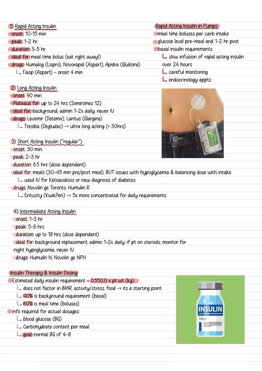 Lecture 10: Glucose Regulation and Diabetes - Page 4