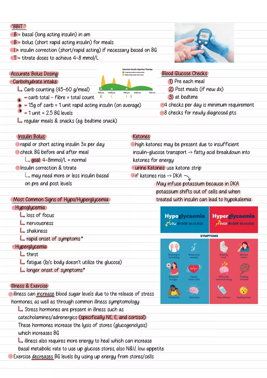 Lecture 10: Glucose Regulation and Diabetes - Page 5