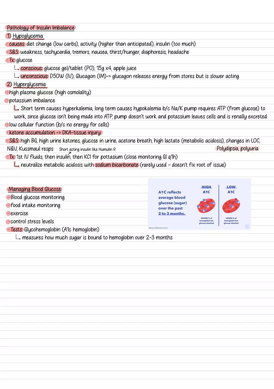 Lecture 10: Glucose Regulation and Diabetes - Page 6