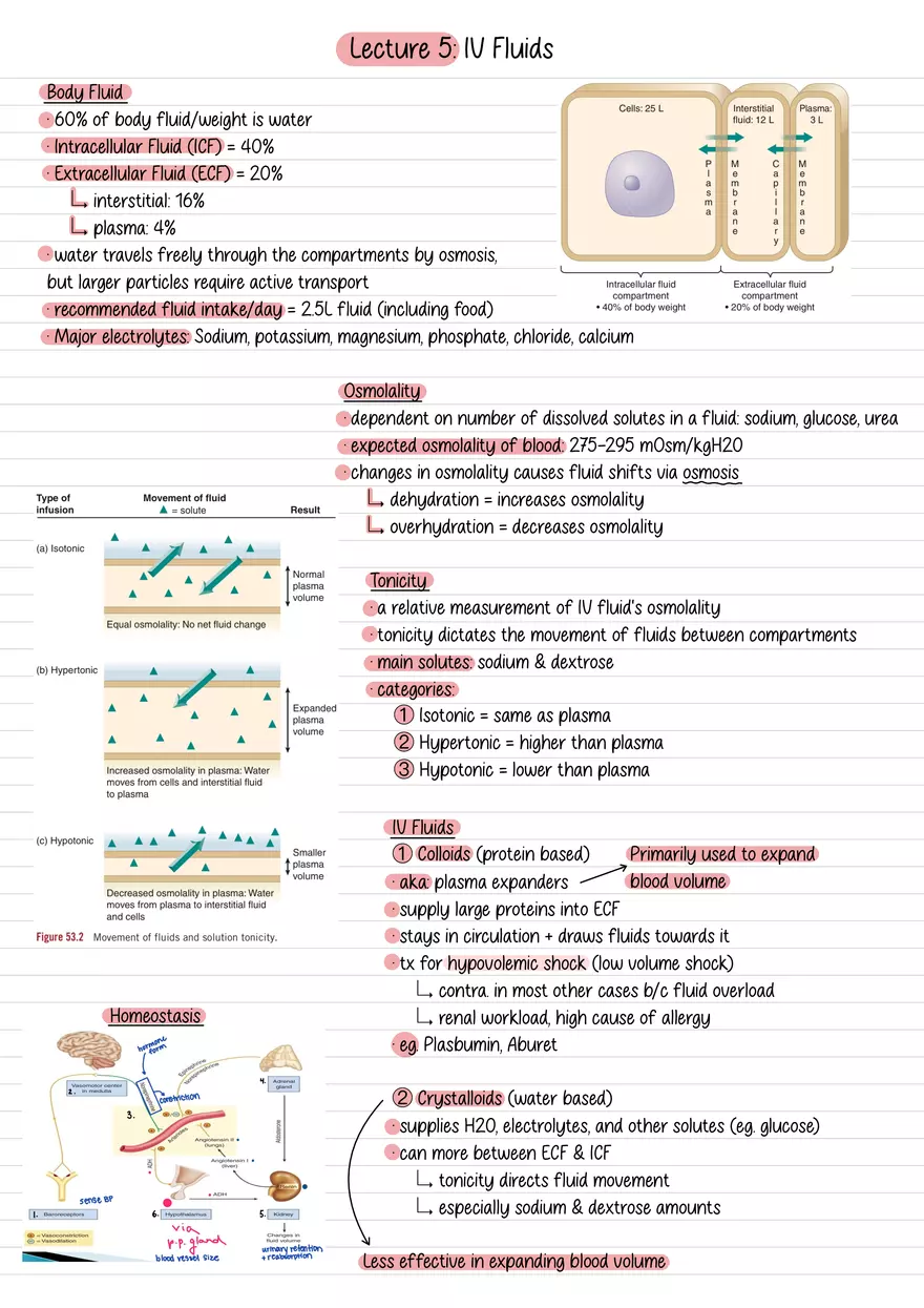Lecture 5: IV Fluids - Page 1