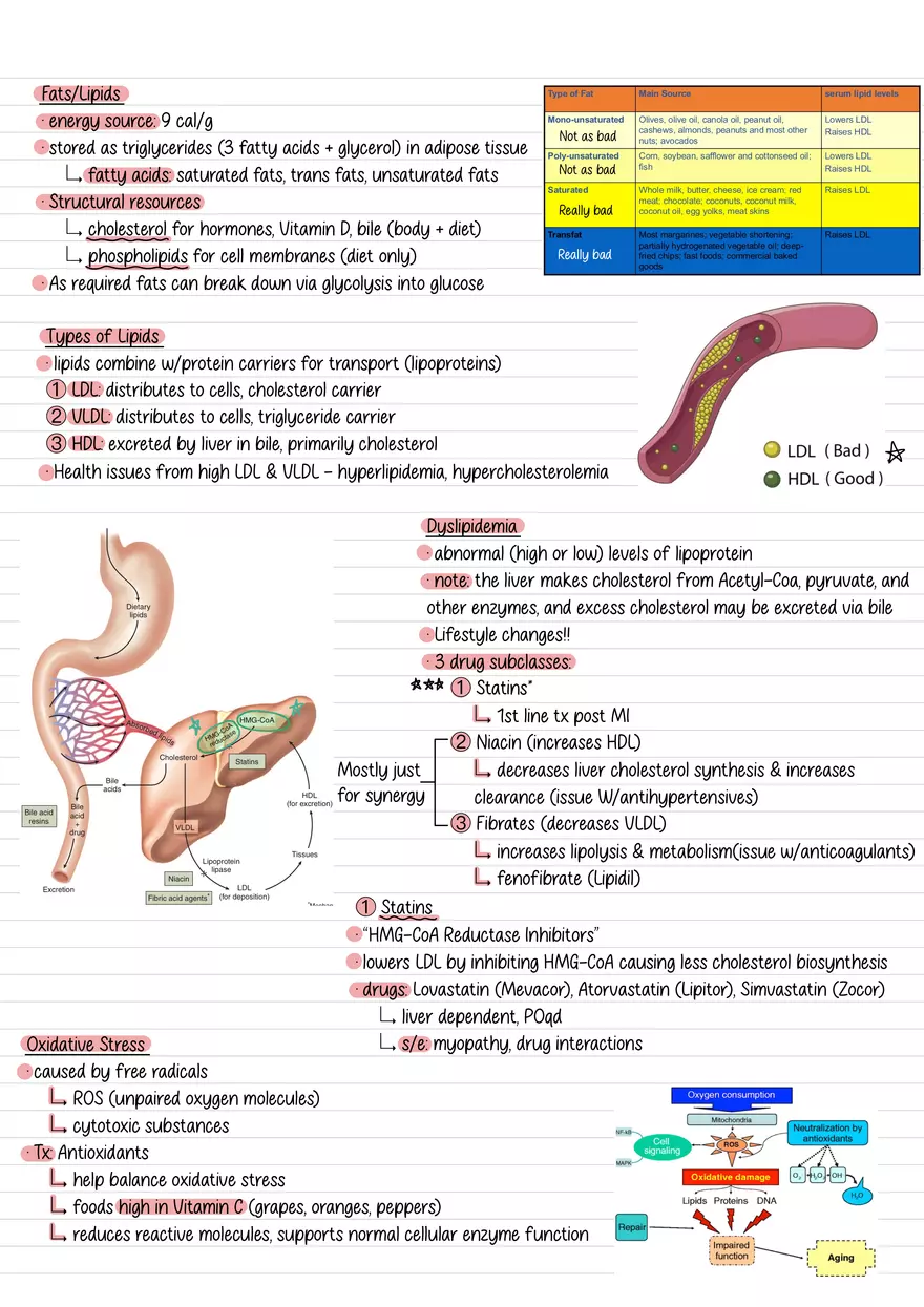 Lecture 7: Atherosclerosis & Coagulation - Page 2