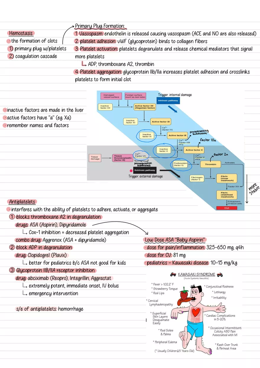 Lecture 7: Atherosclerosis & Coagulation - Page 3
