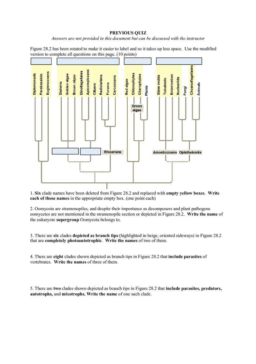 Principles of Biology II Protists Worksheet (Five Points) - Page 5