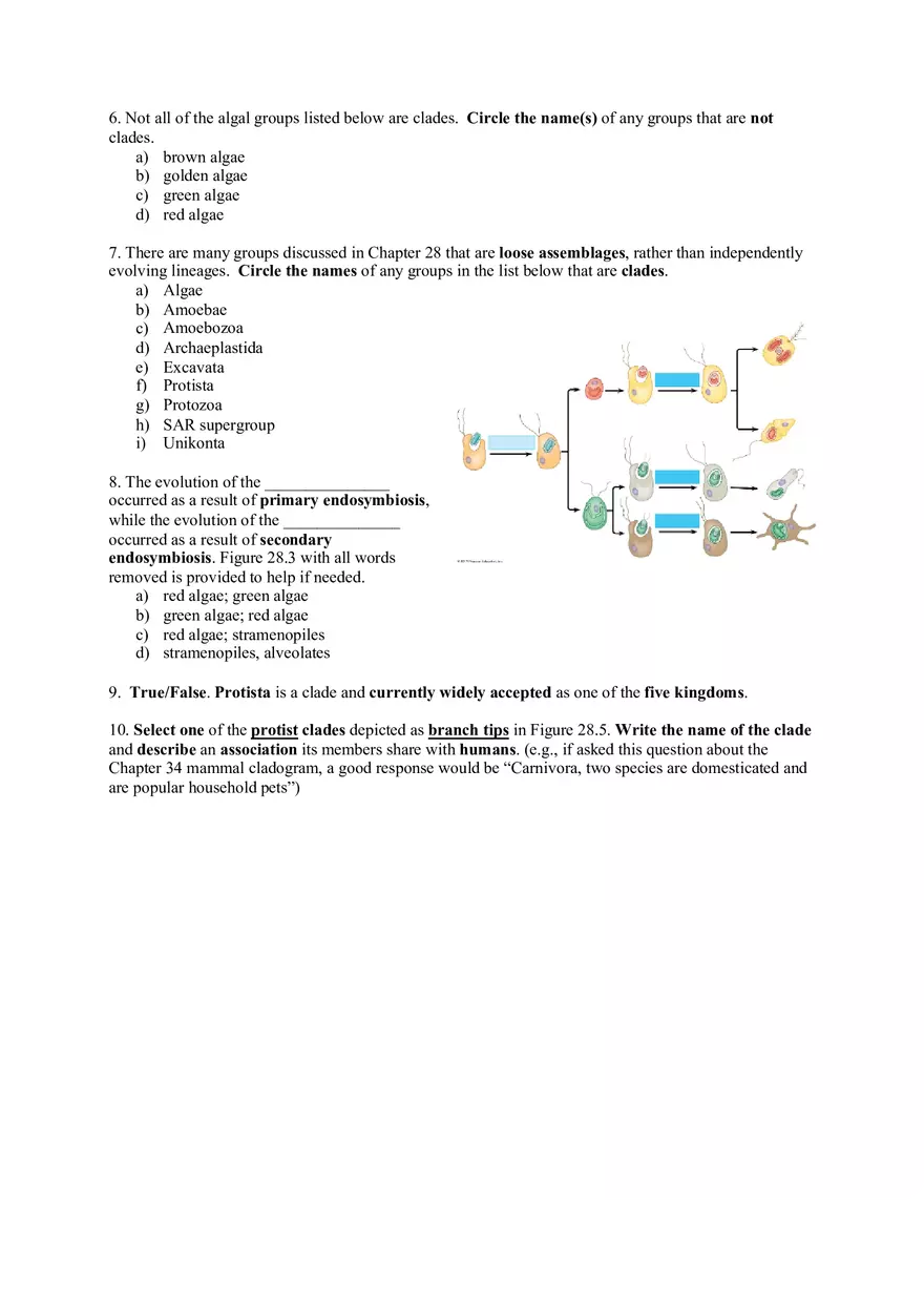 Principles of Biology II Protists Worksheet (Five Points) - Page 6