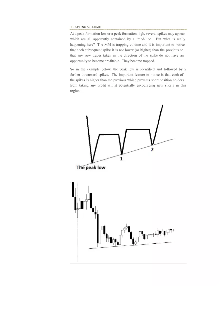 The Market Maker Method Study Guide Part 1 - Page 8