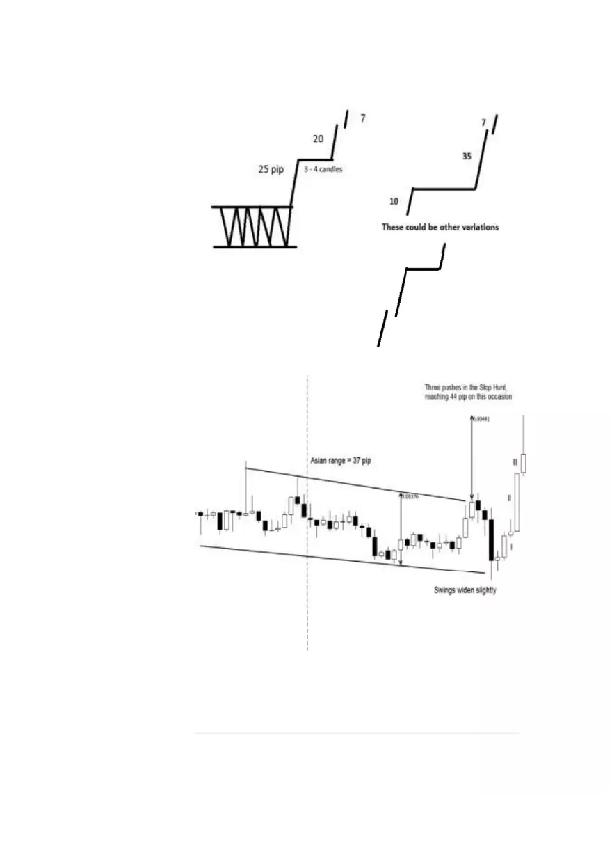 The Market Maker Method Study Guide Part 1 - Page 5
