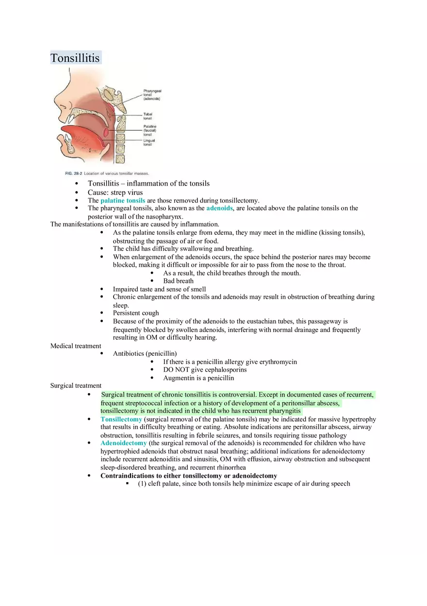 Nursing Care of the Child Review For Exam 1 Part 5 - Page 1