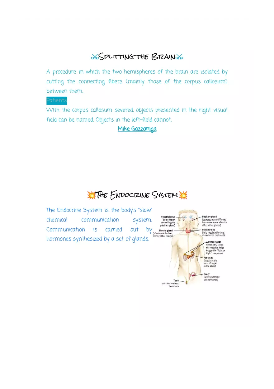 Why are Psychologists Concerned With Human Biology (Drugs) - Page 10
