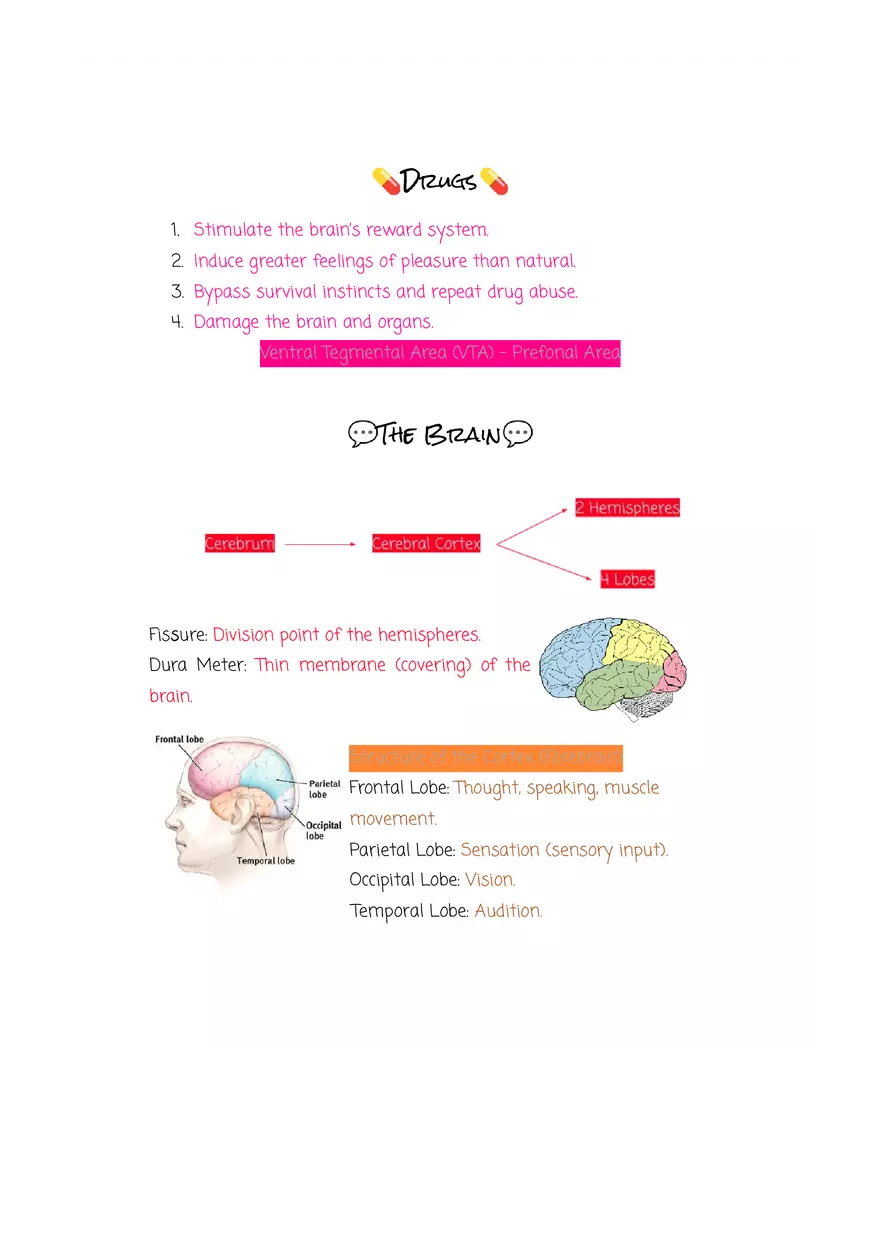 Why are Psychologists Concerned With Human Biology (Drugs) - Page 1