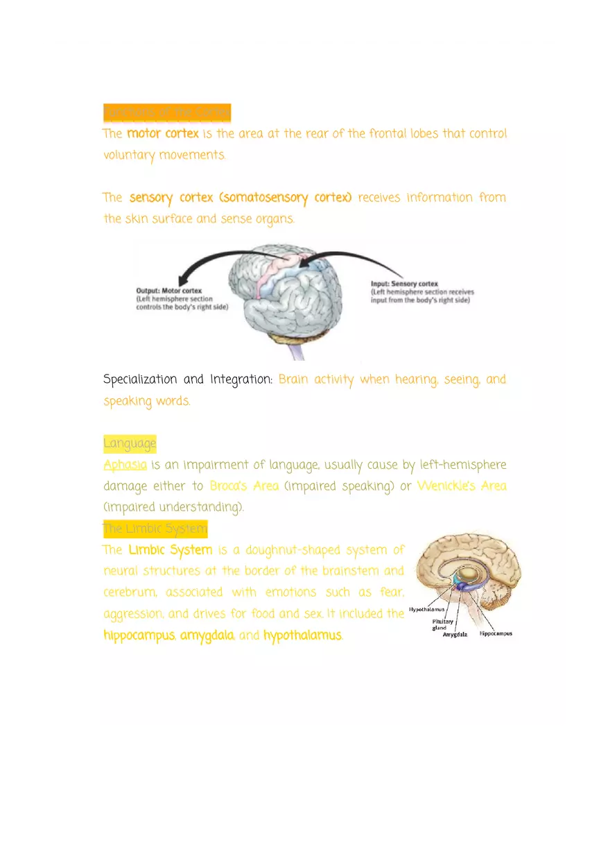 Why are Psychologists Concerned With Human Biology (Drugs) - Page 2