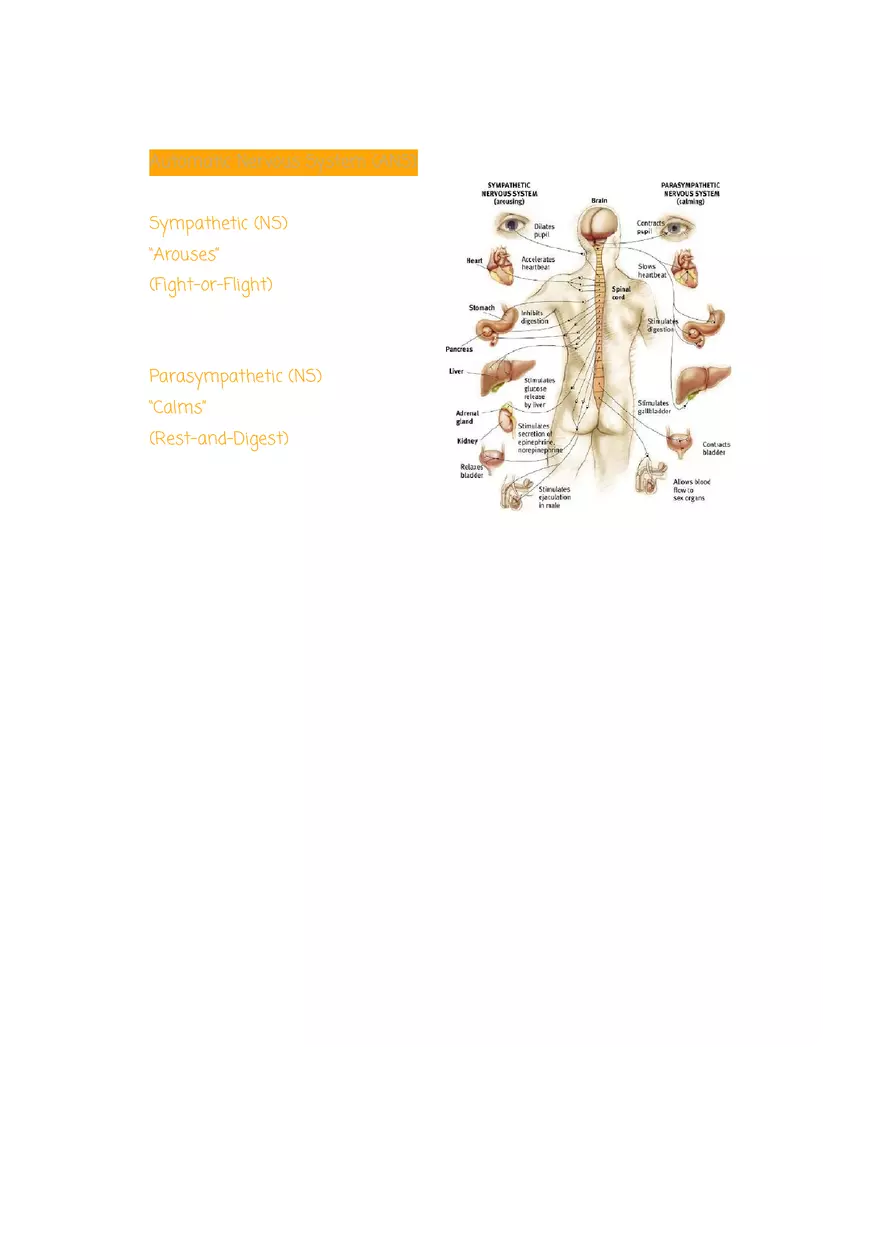 Why are Psychologists Concerned With Human Biology (Drugs) - Page 3