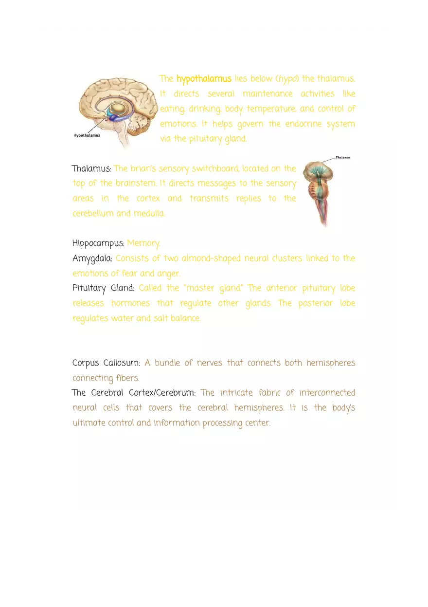Why are Psychologists Concerned With Human Biology (Drugs) - Page 4