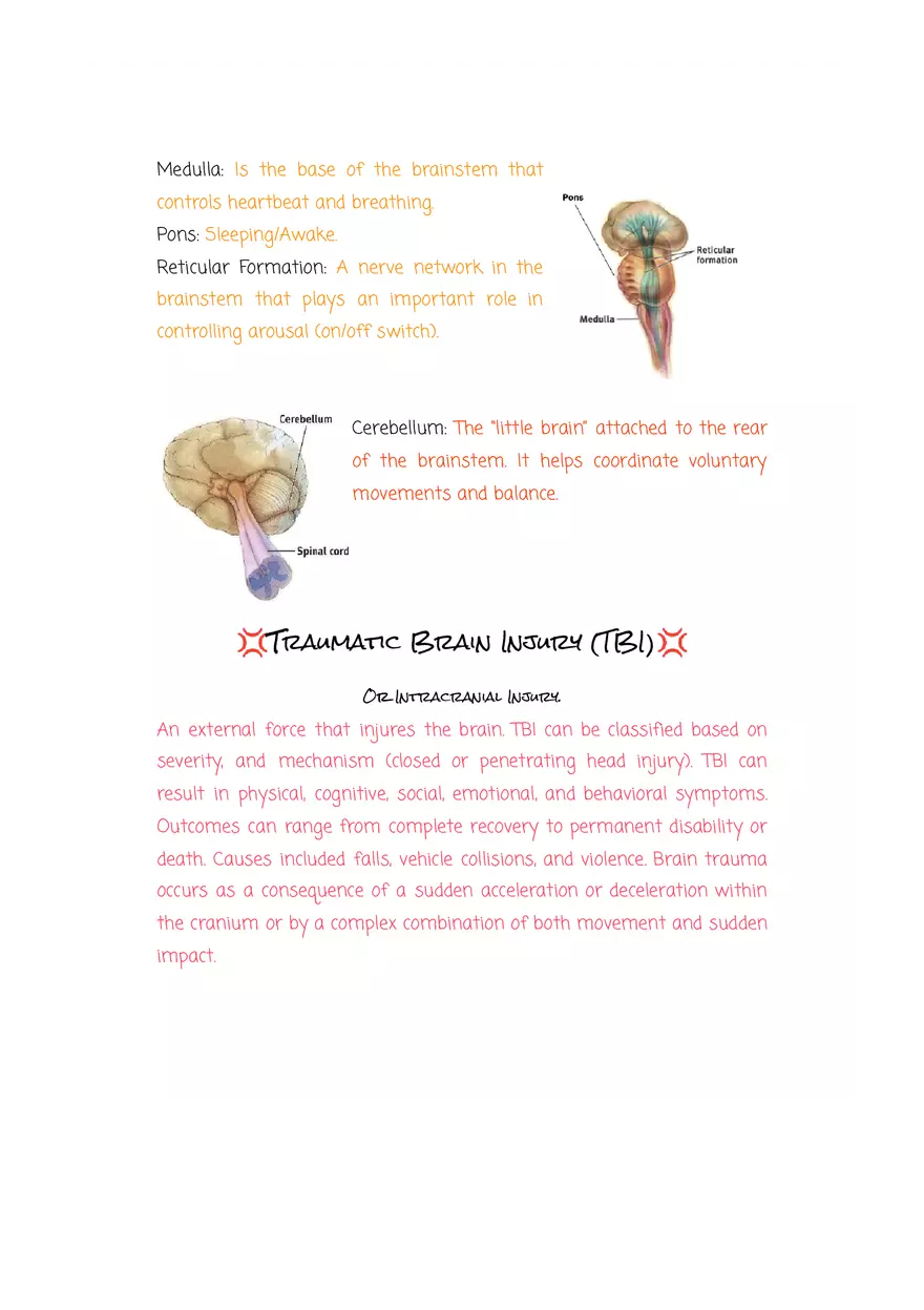 Why are Psychologists Concerned With Human Biology (Drugs) - Page 5