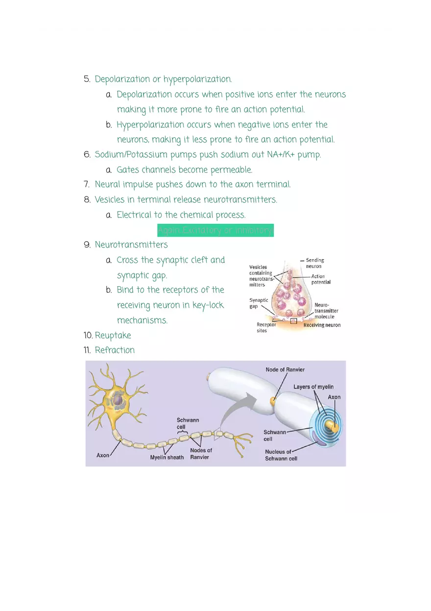 Why are Psychologists Concerned With Human Biology - Page 7