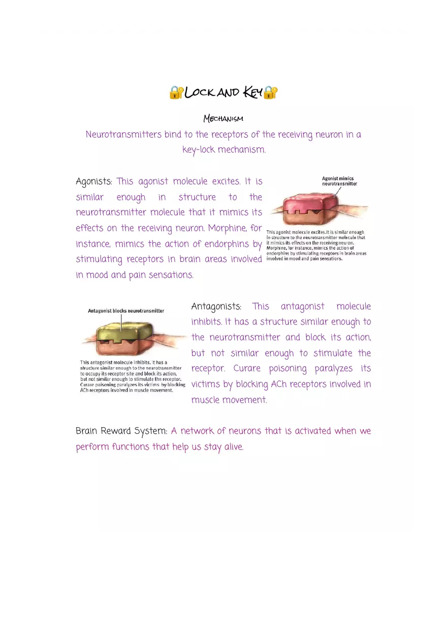 Why are Psychologists Concerned With Human Biology - Page 10