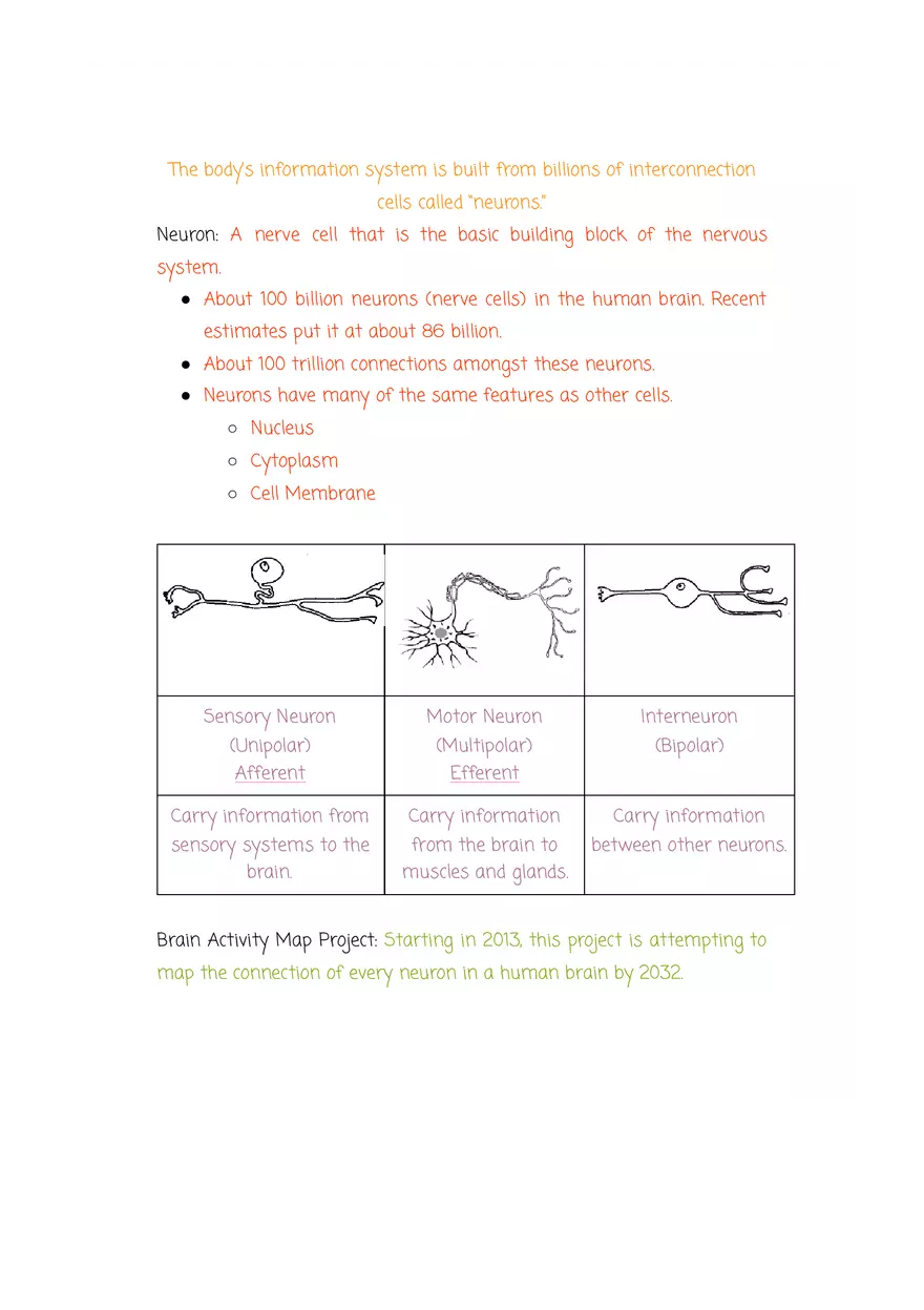 Why are Psychologists Concerned With Human Biology - Page 3