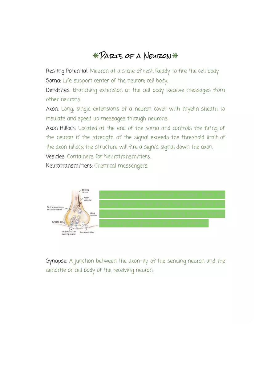 Why are Psychologists Concerned With Human Biology - Page 4