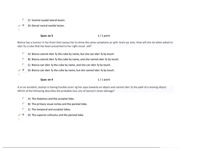 Foundations of Psychology, Neuroscience and Behaviour Exam Answer Key 2 - Page 7