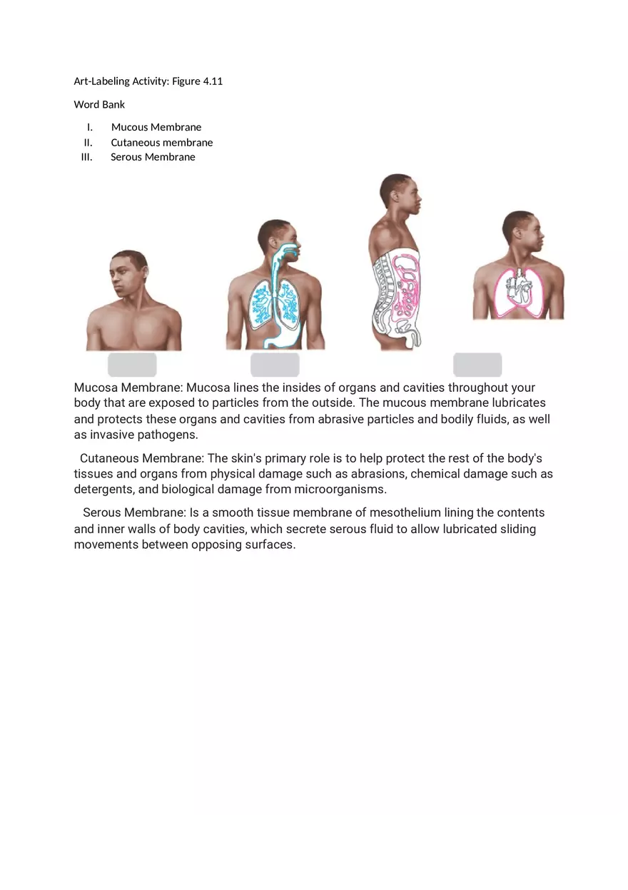 Labeling the Different Membranes - Page 1