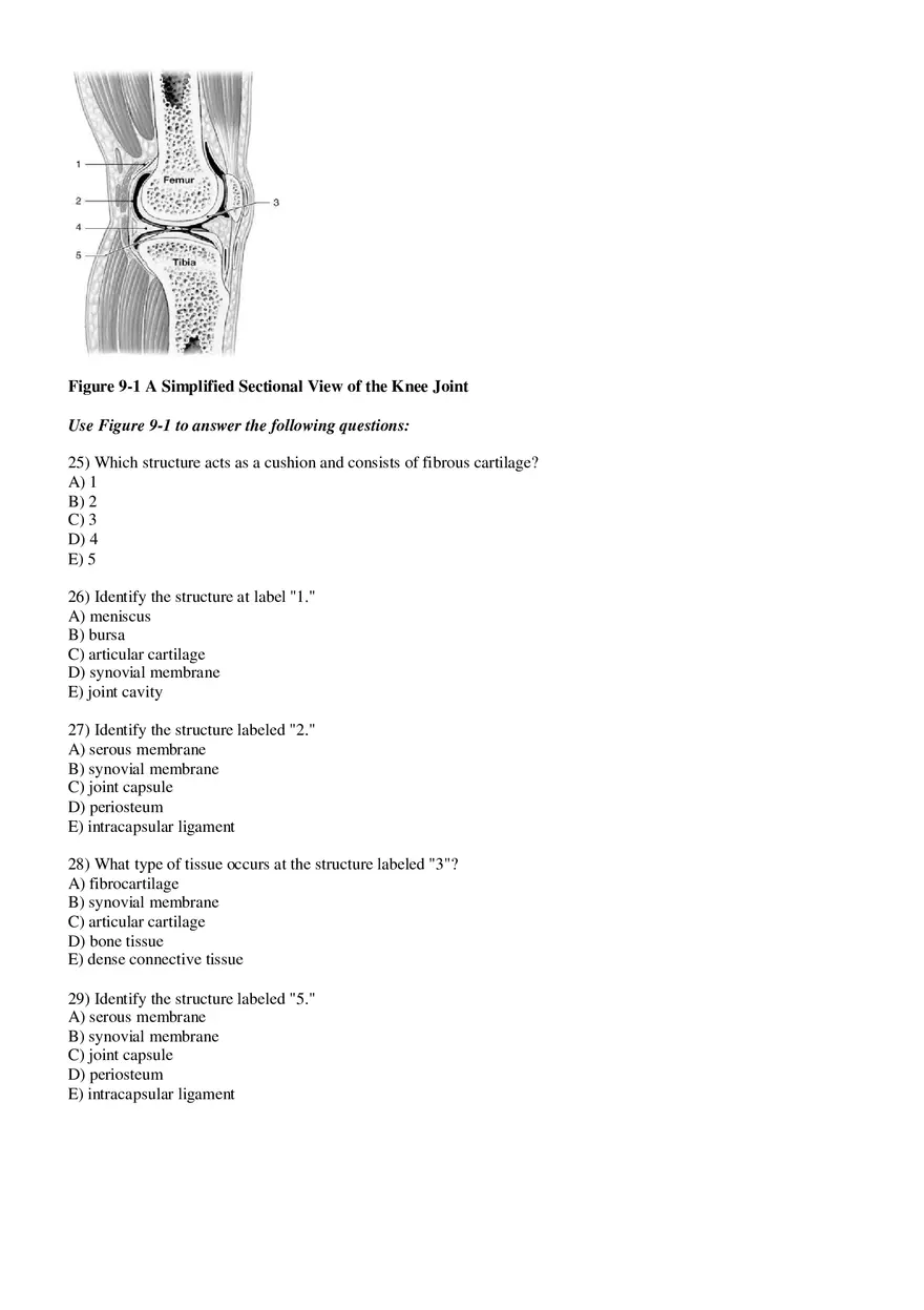 Joints Answer Key - Page 11