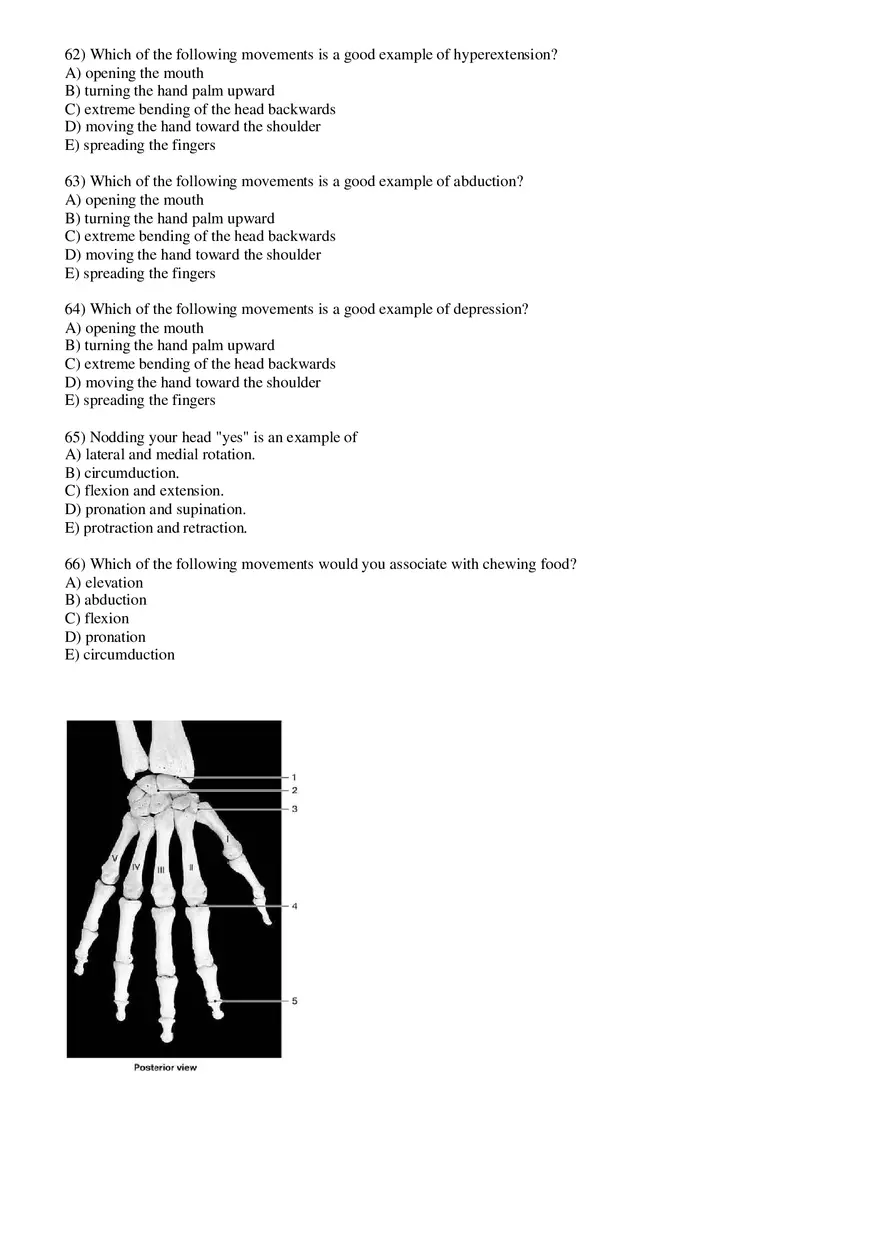 Joints Answer Key - Page 16