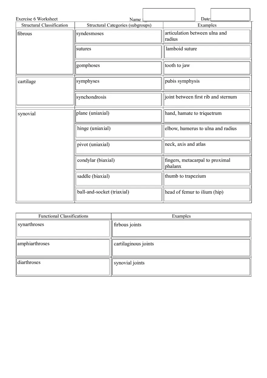 Exercise 6 Handout Fibrous - Page 1