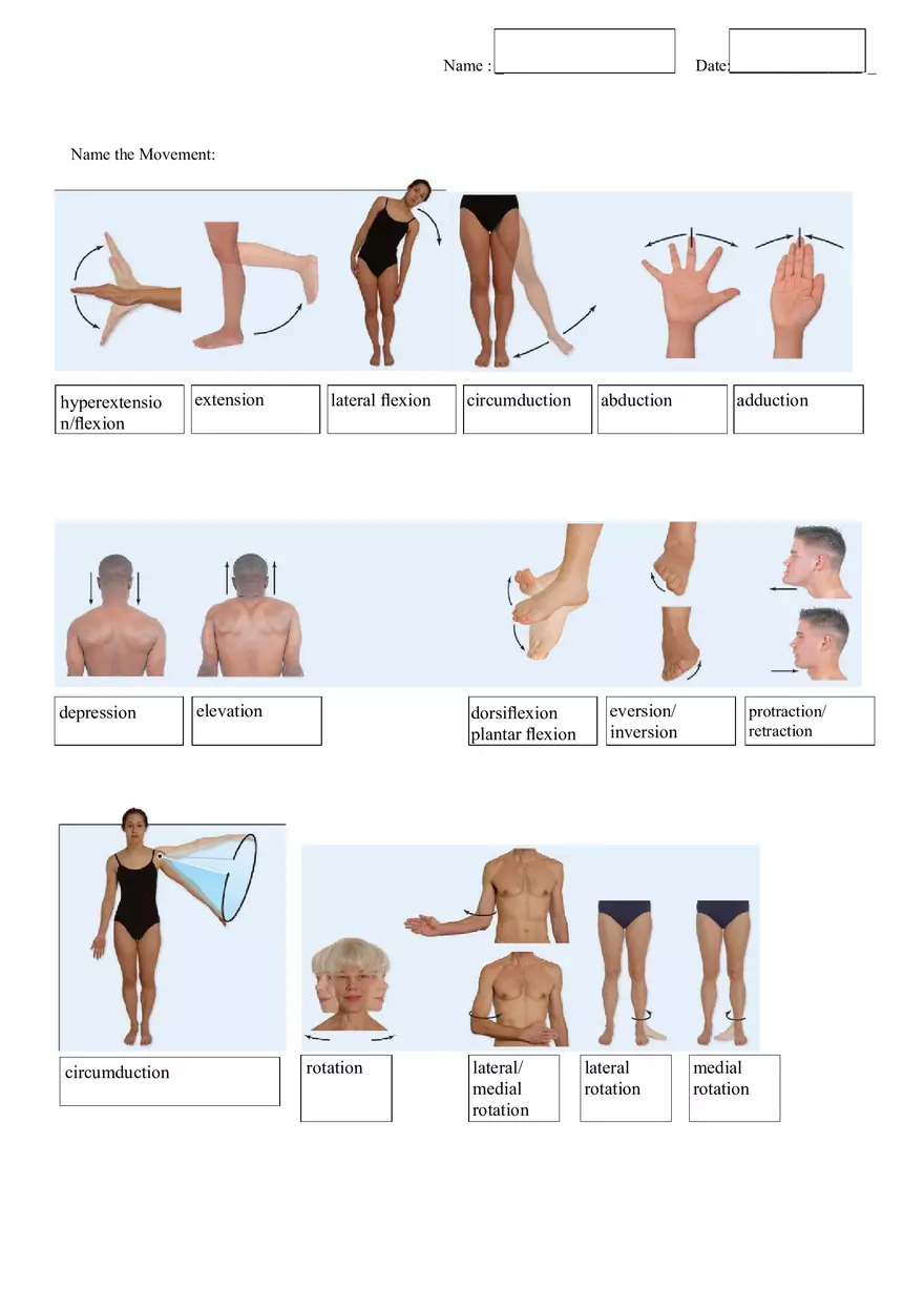 Exercise 6 Handout Fibrous - Page 2