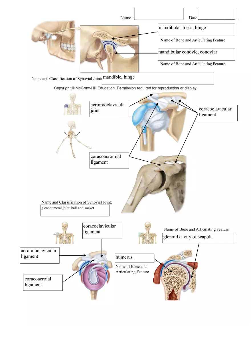 Exercise 6 Handout Fibrous - Page 3