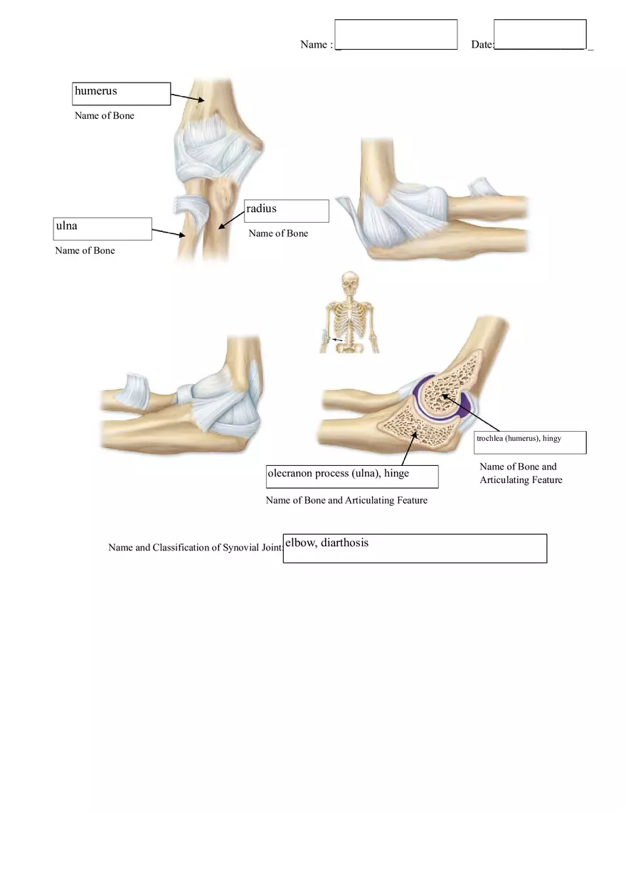 Exercise 6 Handout Fibrous - Page 4