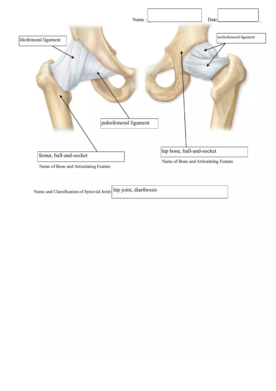 Exercise 6 Handout Fibrous - Page 5