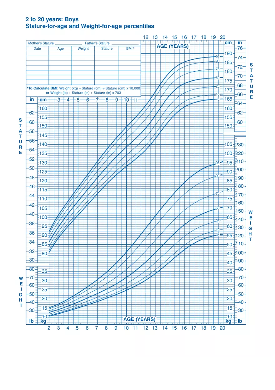 2 to 20 Years Boys Growth Chart for Pediatrics - Page 1
