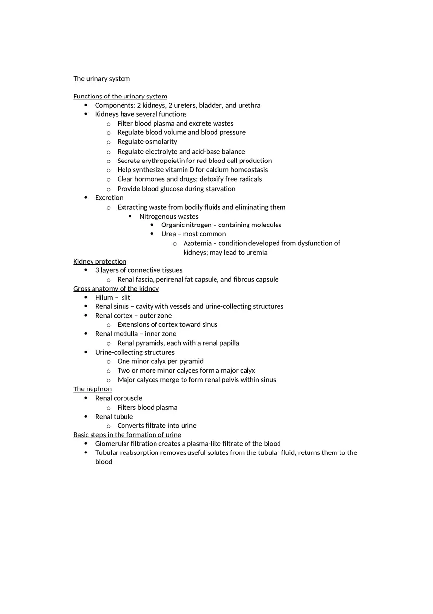 Anatomy The Urinary System - Page 1