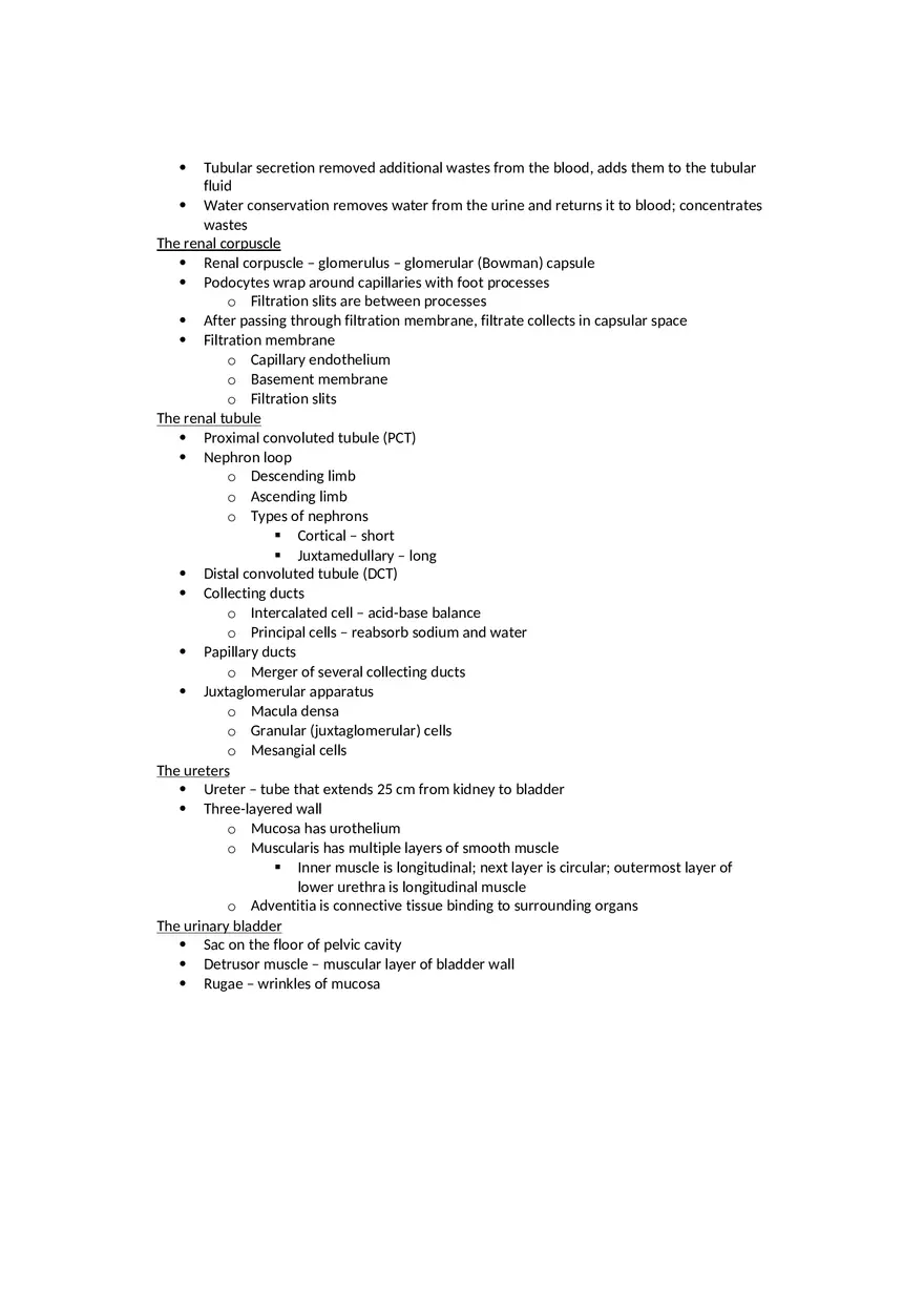 Anatomy The Urinary System - Page 2