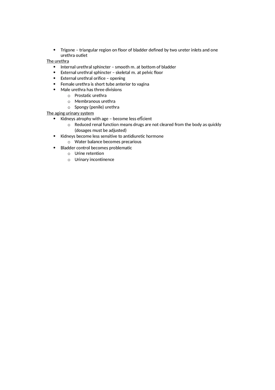 Anatomy The Urinary System - Page 3