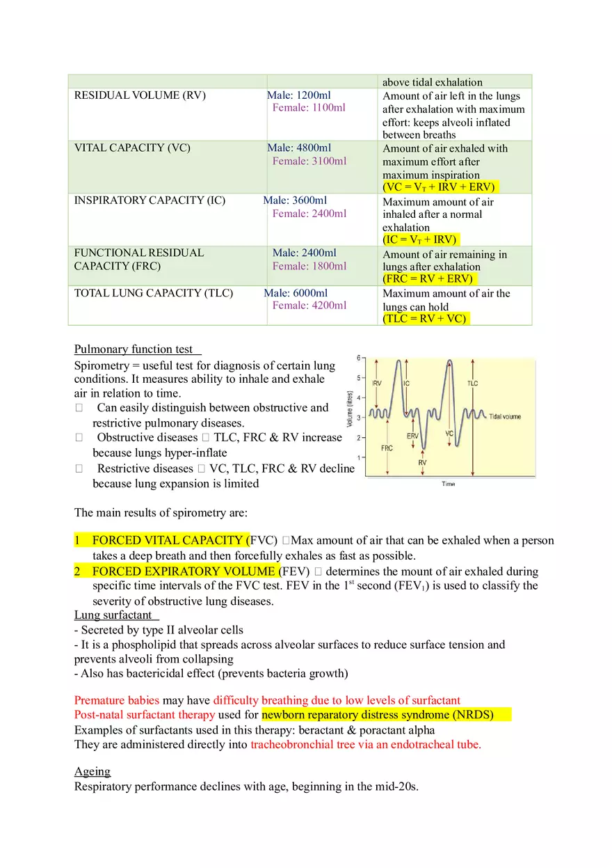 The Respiratory System (Study Guide) - Page 18