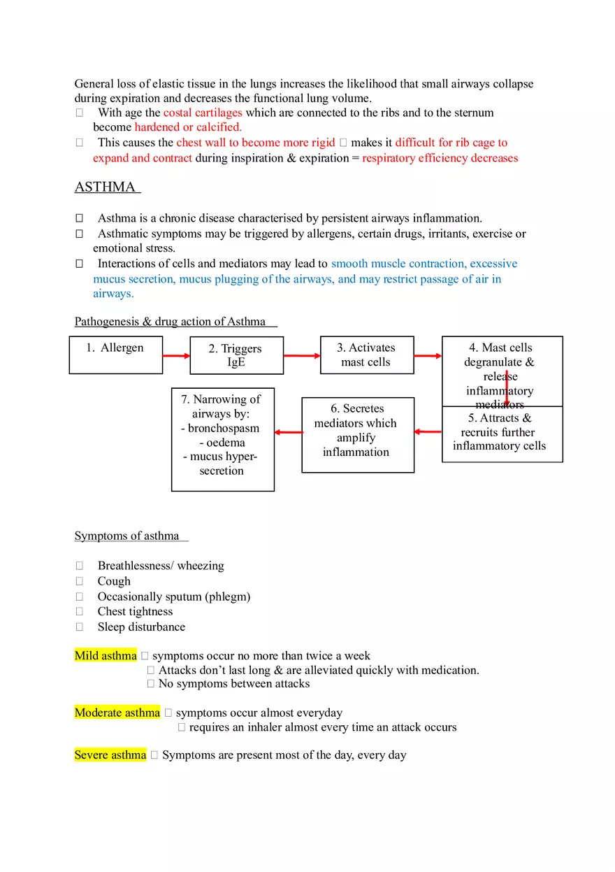 The Respiratory System (Study Guide) - Page 19