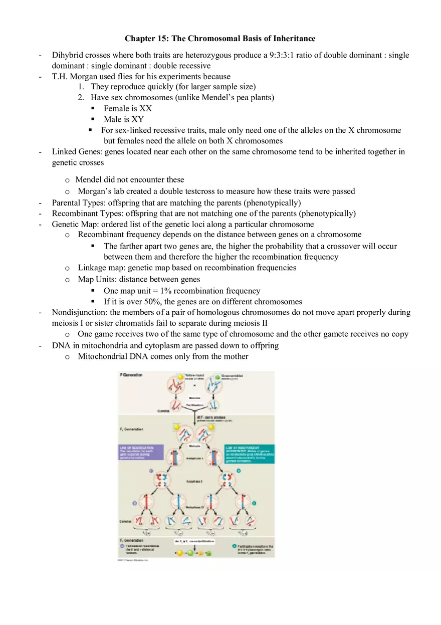 Gene Expression and Regulation - Page 1