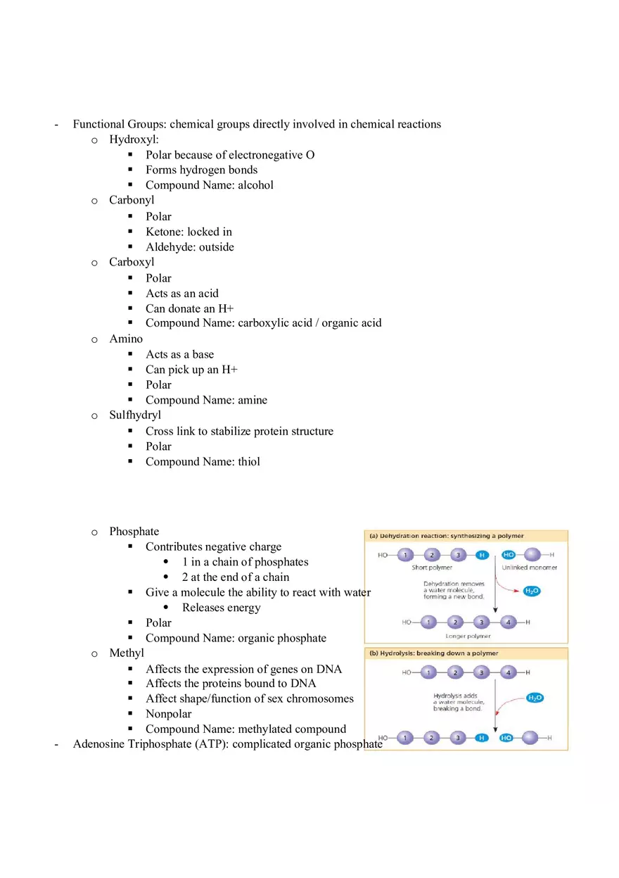 Chemistry of Life - Note - Page 8
