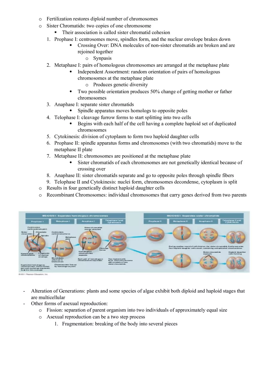 Cellular Energetics - Page 7