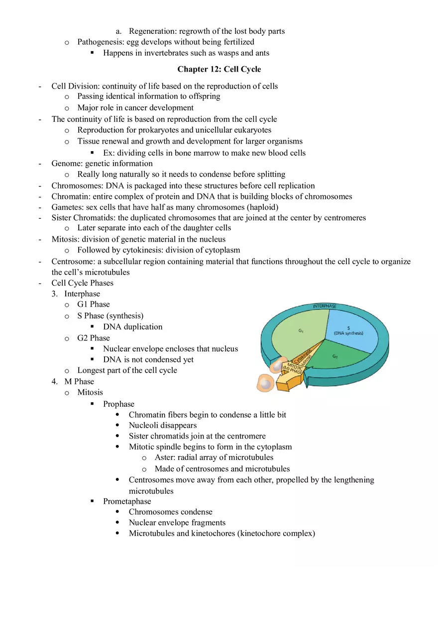 Cellular Energetics - Page 8