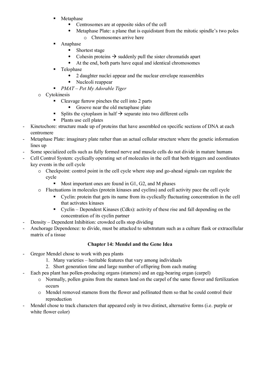 Cellular Energetics - Page 9