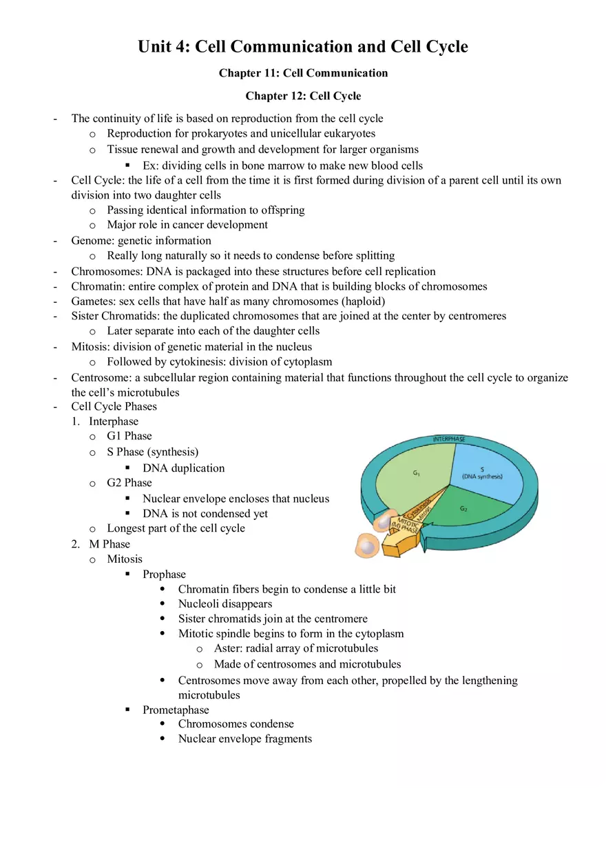 Cellular Energetics - Page 4
