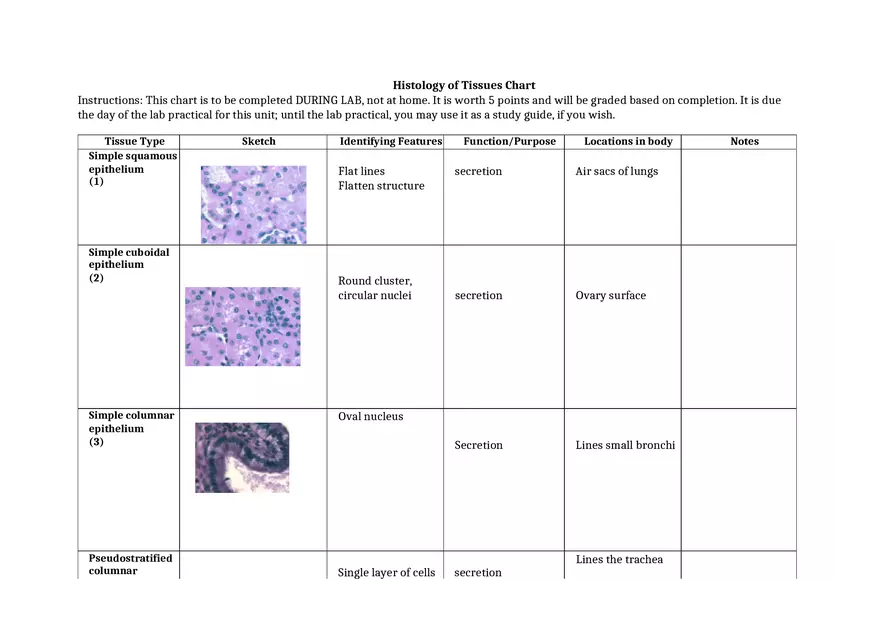 Histology of Tissues Chart 2 - Page 1