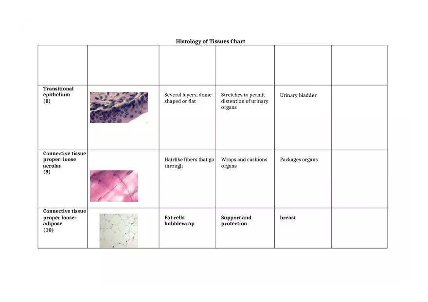 Histology of Tissues Chart 2 - Page 3