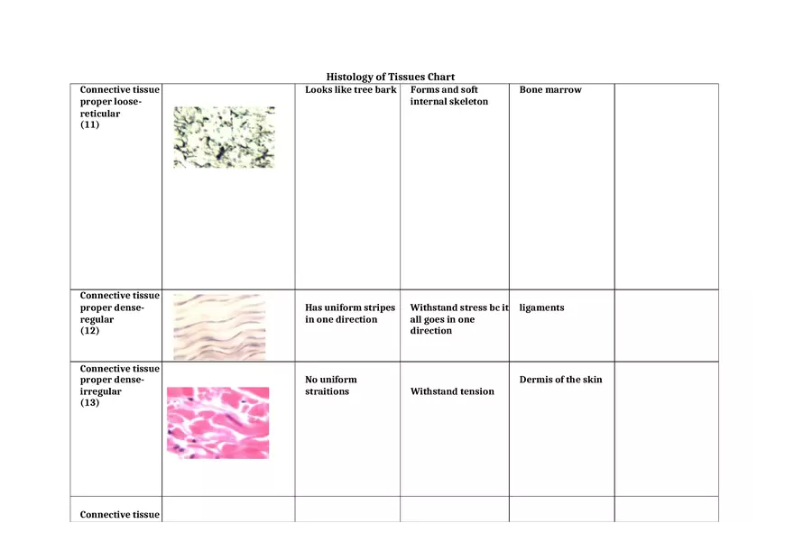 Histology of Tissues Chart 2 - Page 4