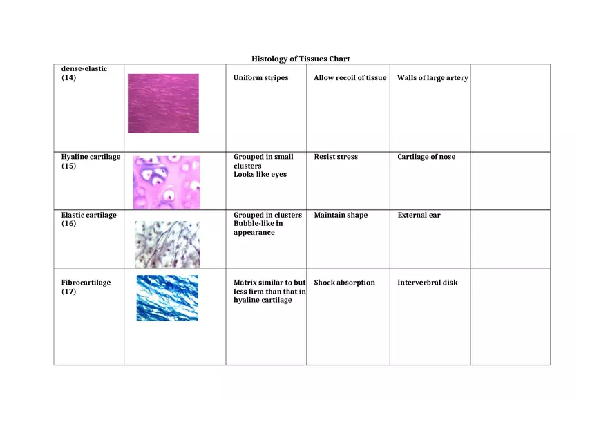Histology of Tissues Chart 2 - Page 5
