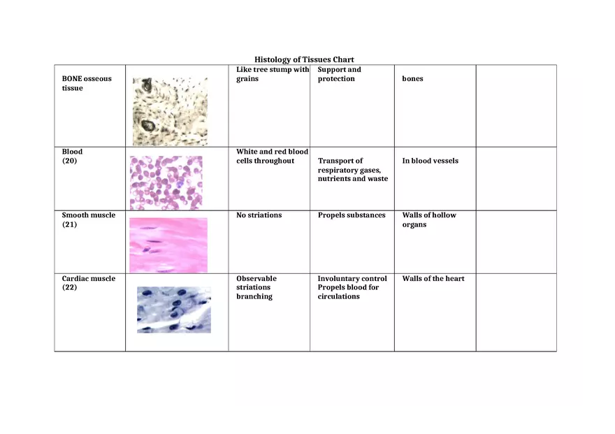 Histology of Tissues Chart 2 - Page 6