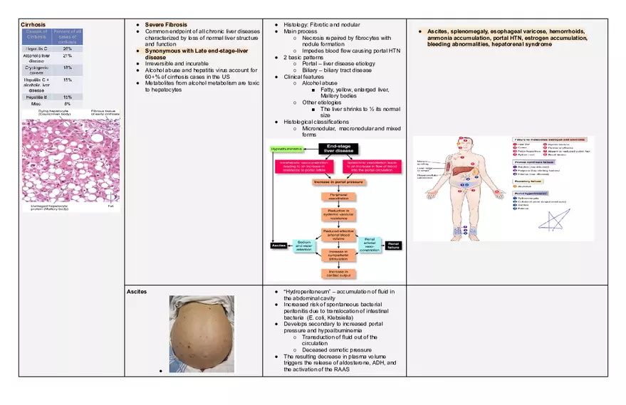 Endocrine Pathophysiology Exam - Page 9