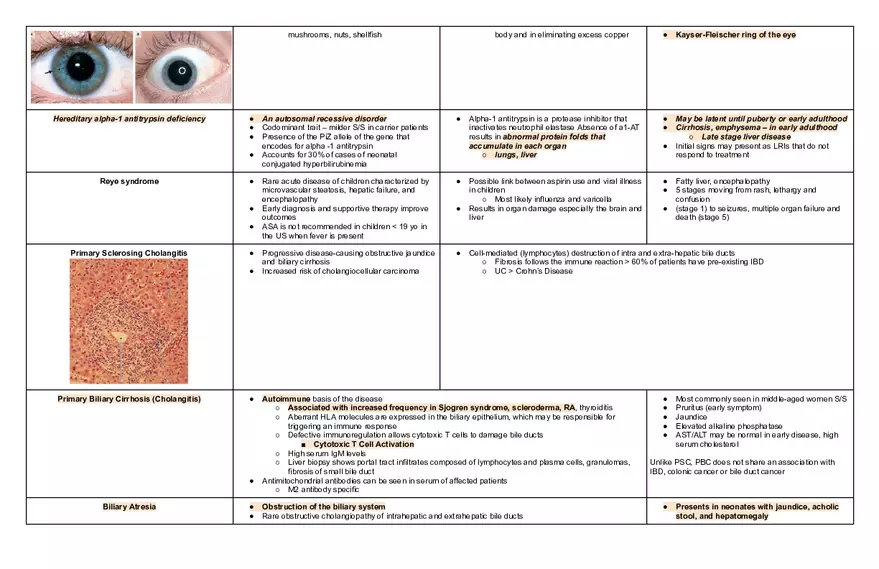 Endocrine Pathophysiology Exam - Page 13